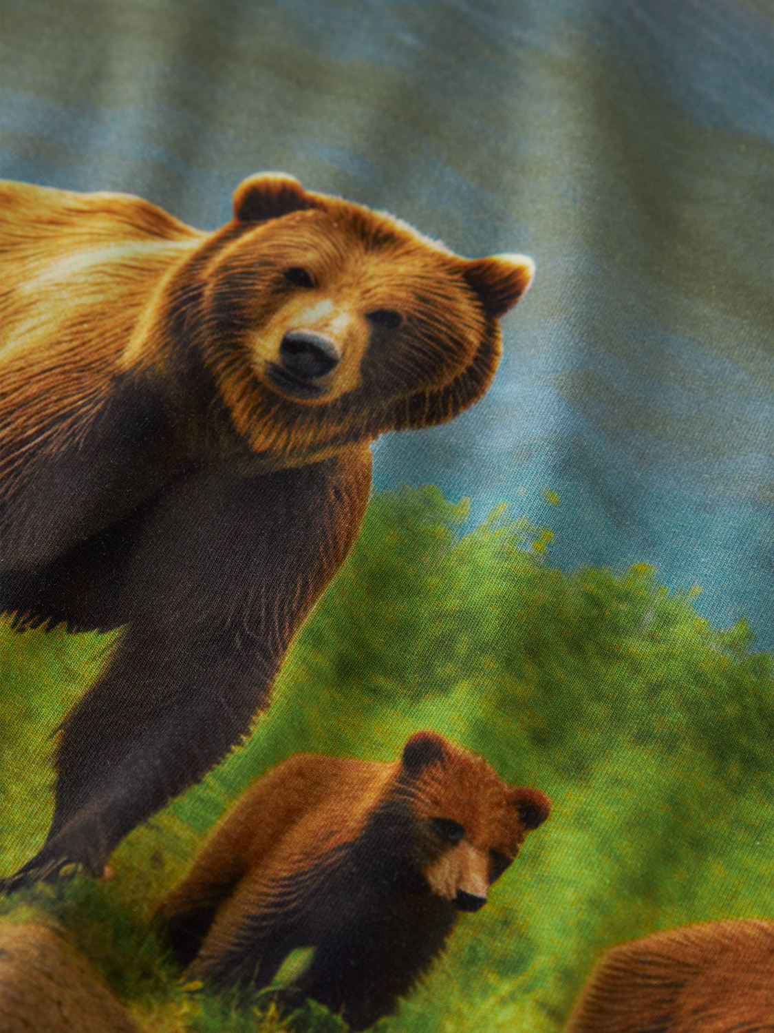 model_shot-front_full